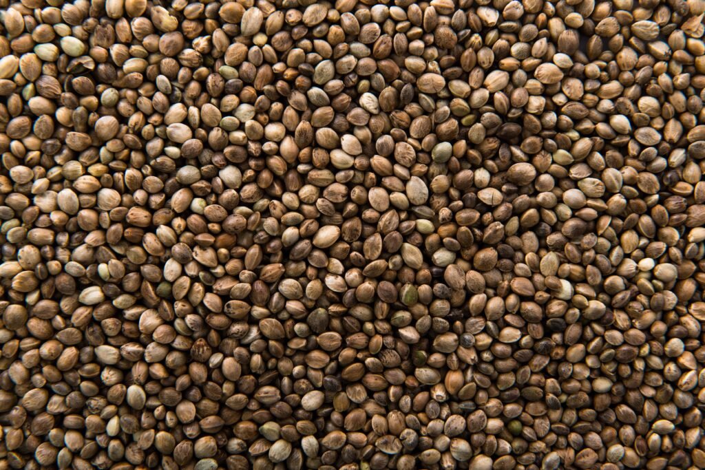 Soil Health and Agronomic Support