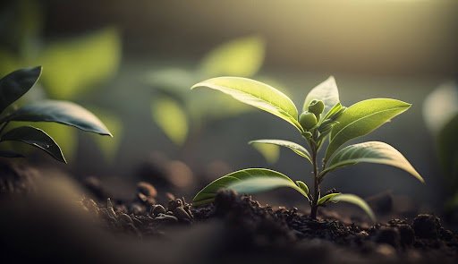 What Farmers Are Saying