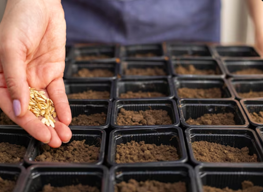 Bulk Seed Tenders in Madrid, IA